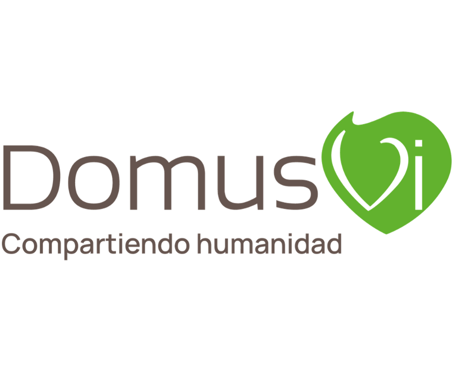Domus Vi